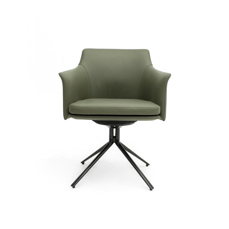 Swivel Leisure Chair